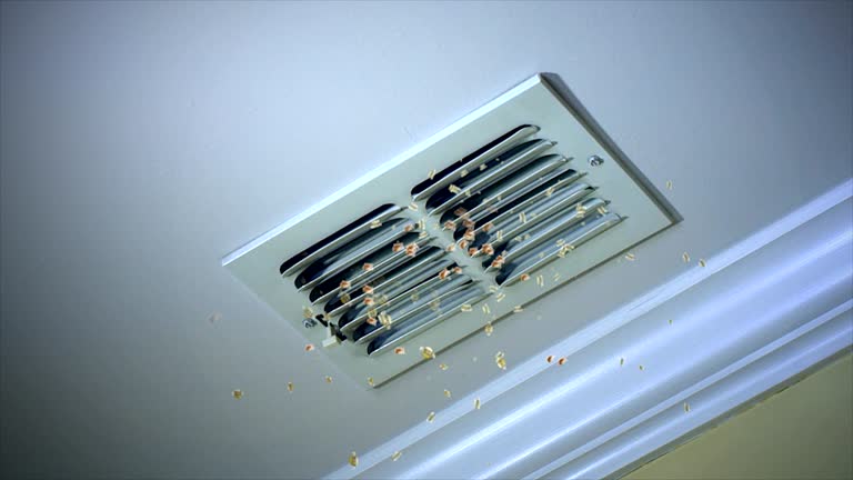 Best HVAC Duct Inspection Services  in Charleston, MS